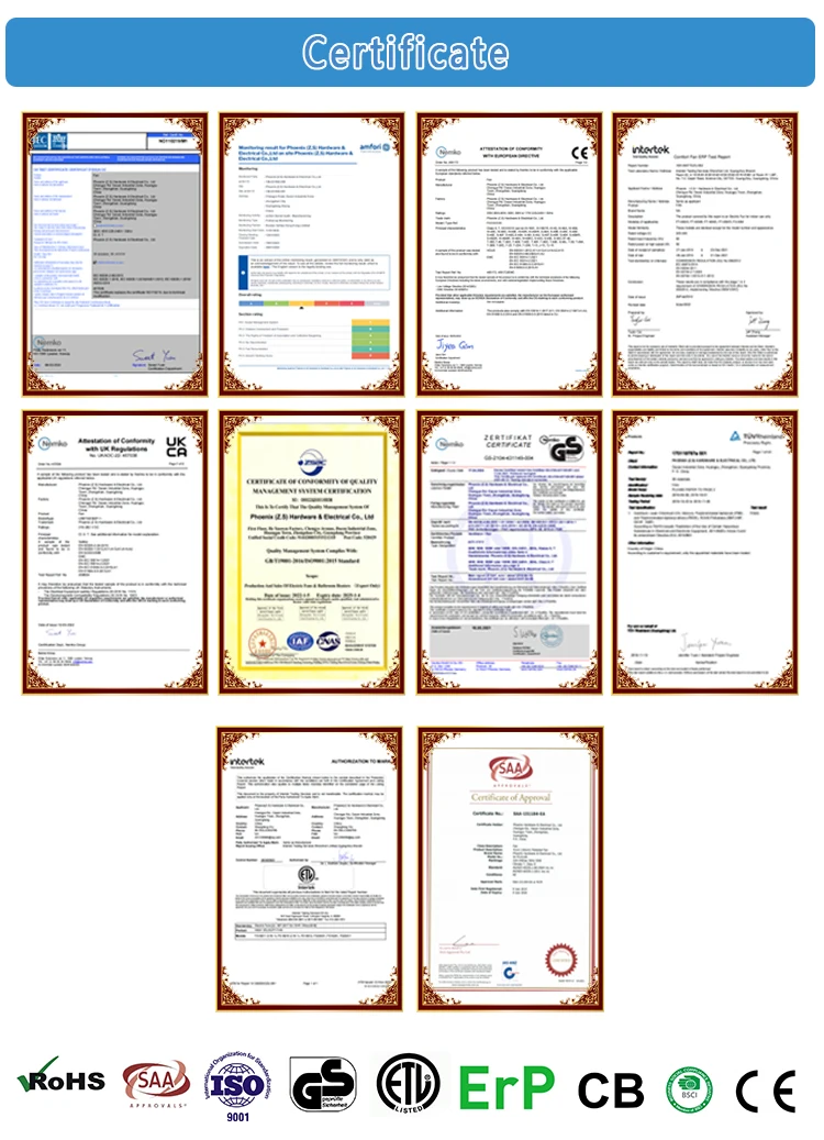 Company Profile