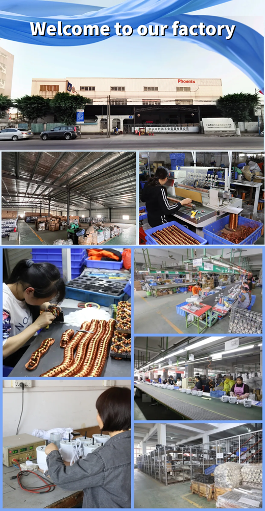 Company Profile